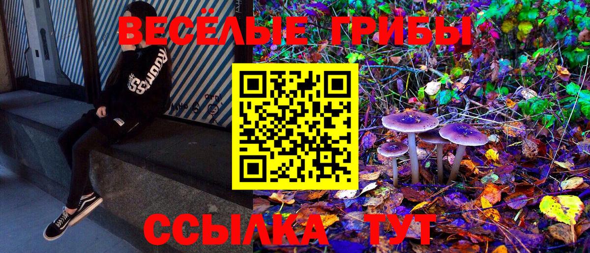 Псилоцибиновые грибы Magic Shrooms  Вход с VPN  Кимовск 