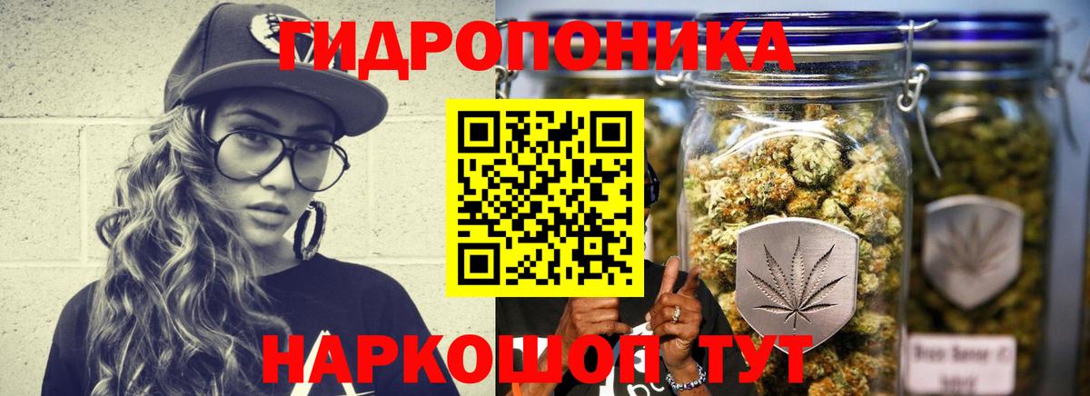 Конопля индика Кимовск